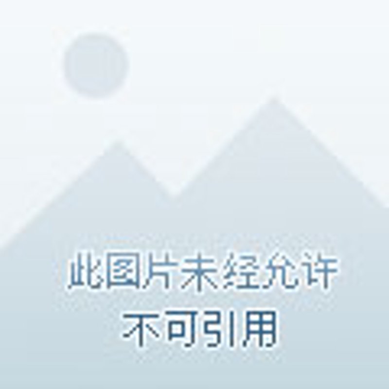 文艺演出：点亮城市的灯光与梦想
